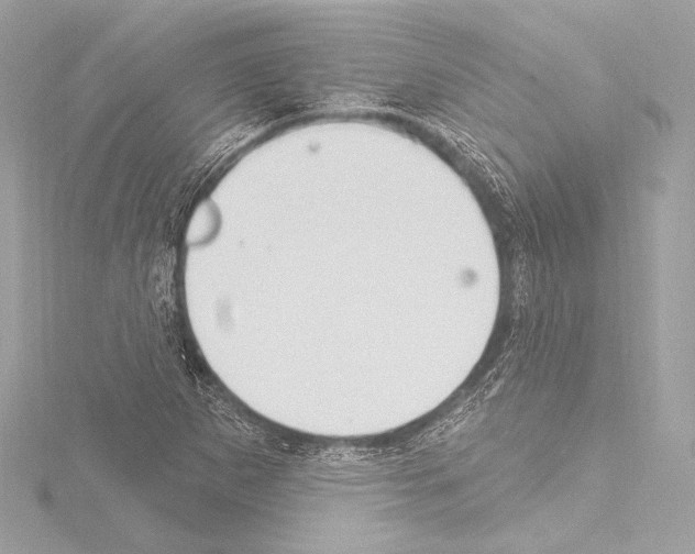 X0000115531265200912181519