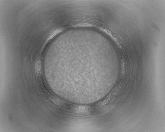 X0000115531266200912181519