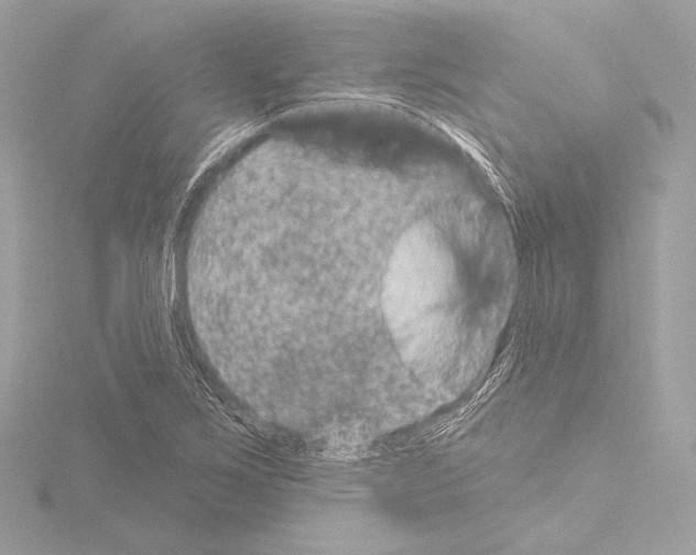 X0000115531267200912181519