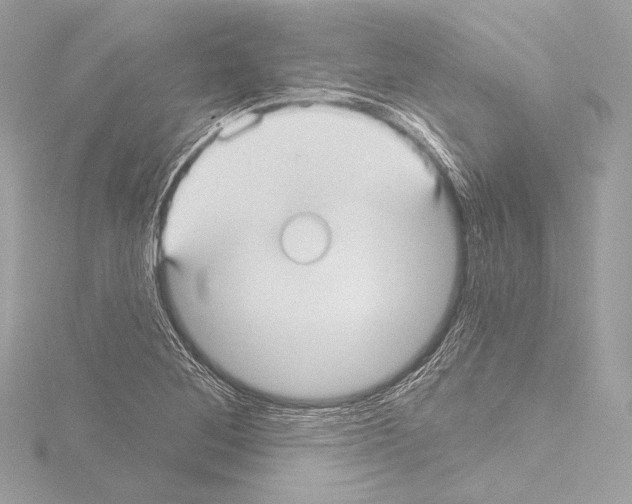 X0000115531268200912181519