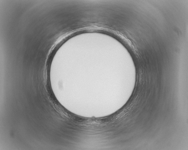 X0000115531270200912181519