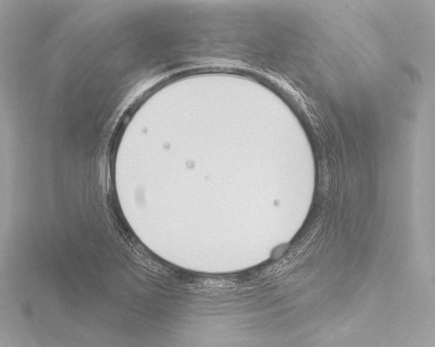 X0000115531271200912181519