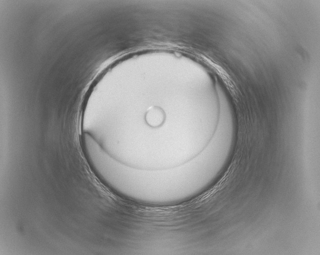 X0000115531272200912181519