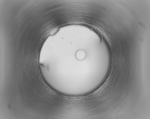 X0000115531273200912181519