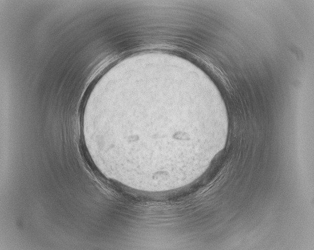 X0000115531274200912181519