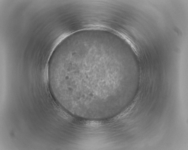 X0000115531275200912181519