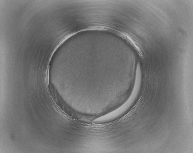 X0000115531276200912181519