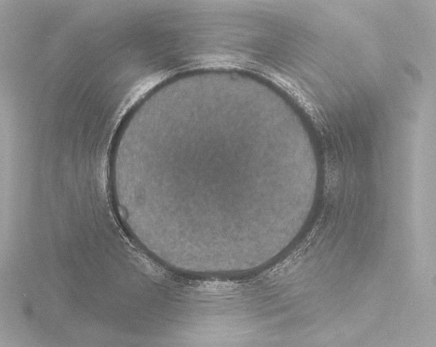 X0000115531277200912181519