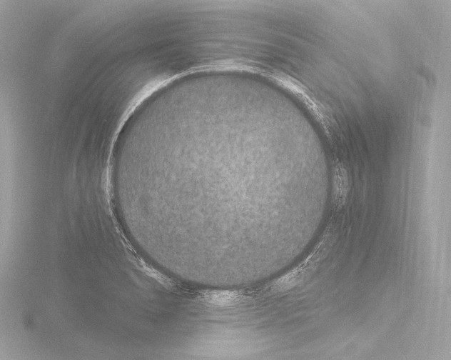 X0000115531278200912181519