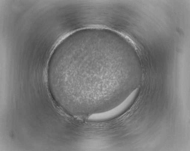 X0000115531279200912181519