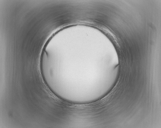 X0000115531280200912181519