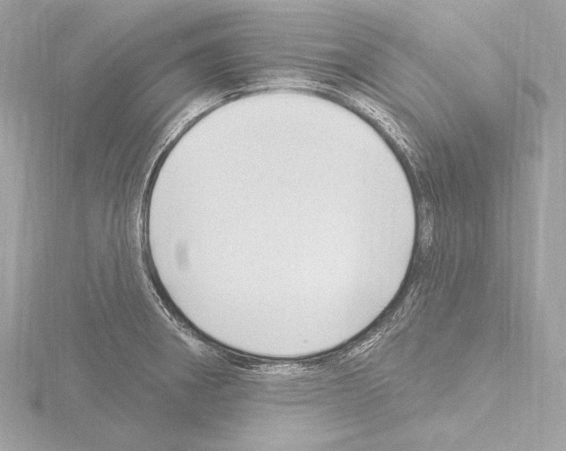 X0000115531282200912181519