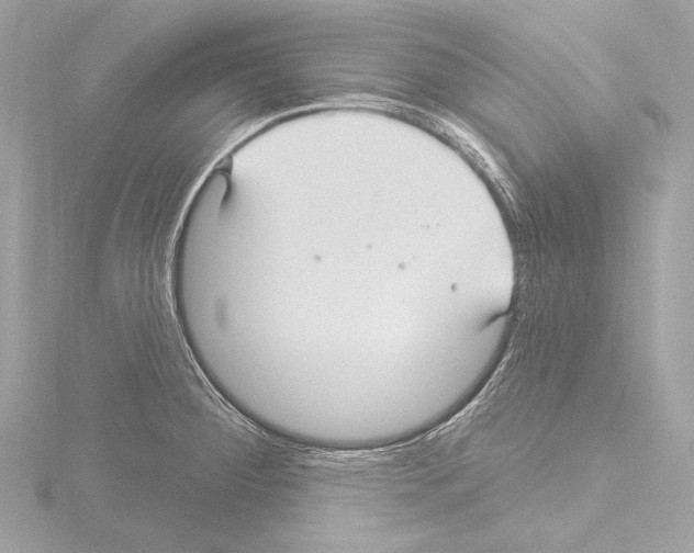 X0000115531284200912181519