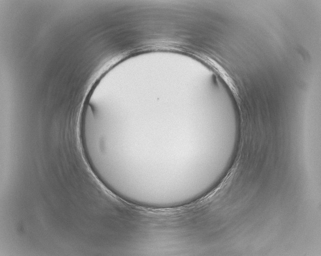 X0000115531285200912181519