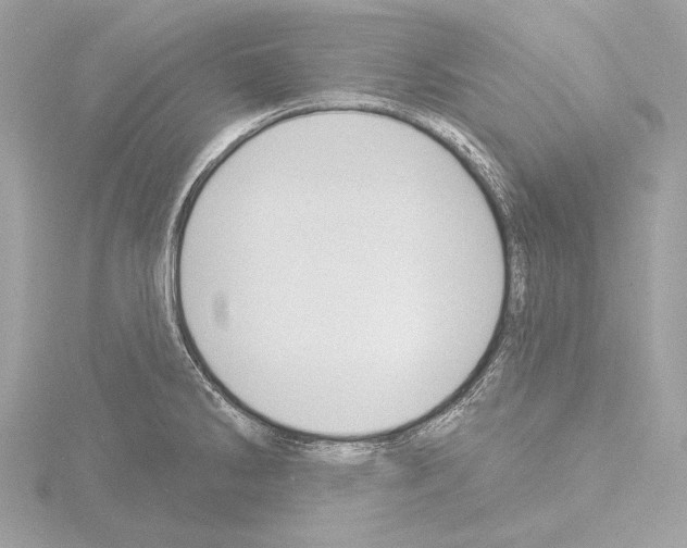 X0000115531286200912181519