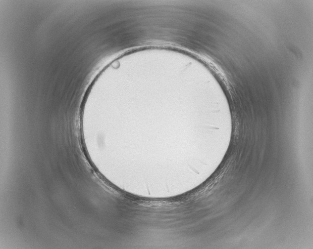 X0000115531287200912181519