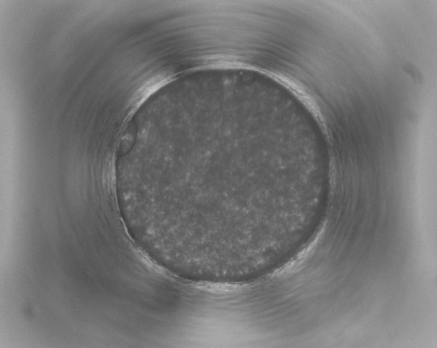 X0000115531289200912181519