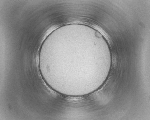 X0000115531290200912181519