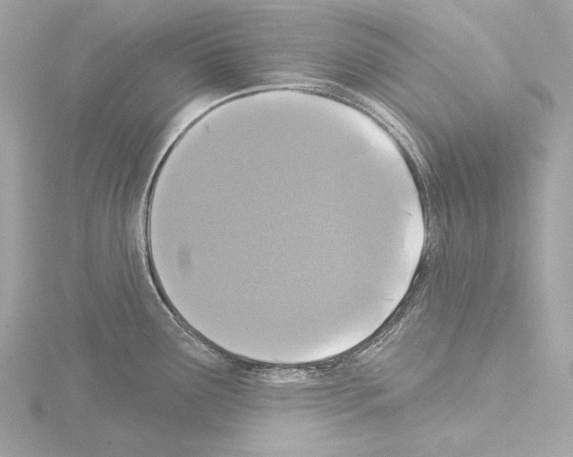 X0000115531291200912181519