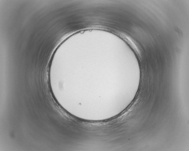 X0000115531292200912181519