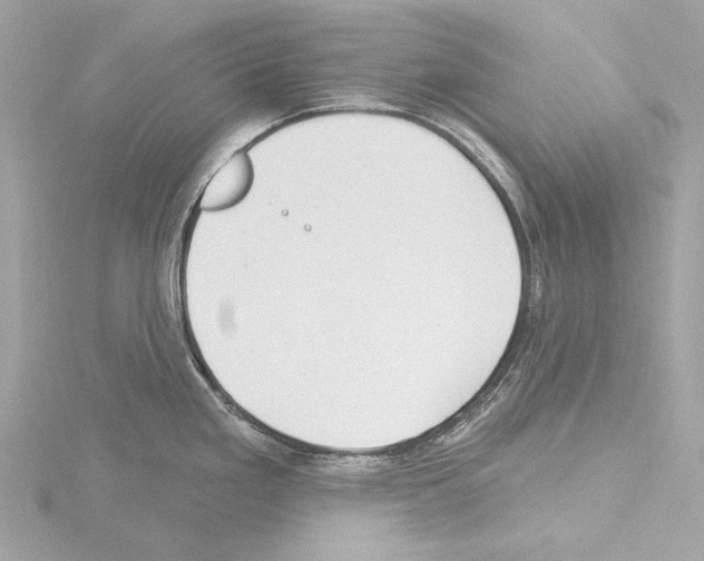 X0000115531293200912181519