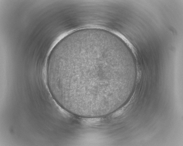 X0000115531294200912181519