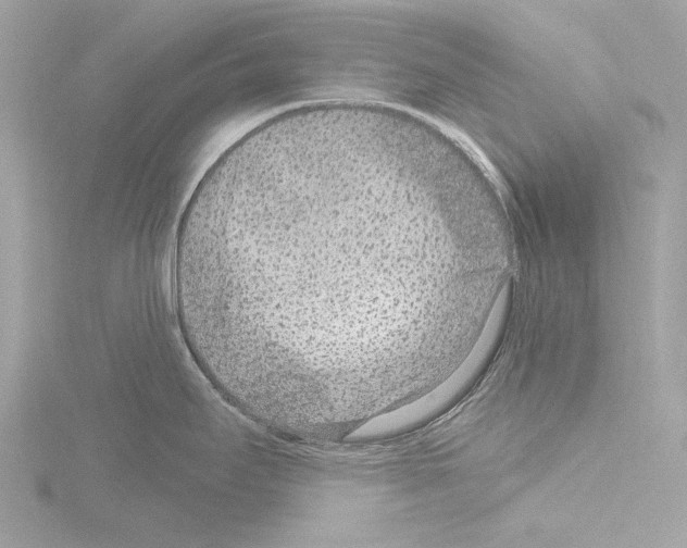 X0000115531295200912181519