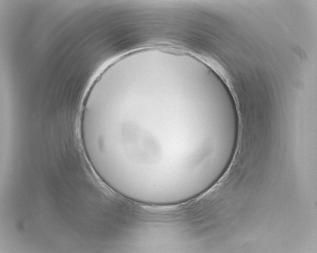 X0000115531296200912181519