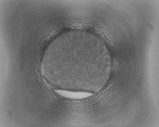 X0000115531297200912181518