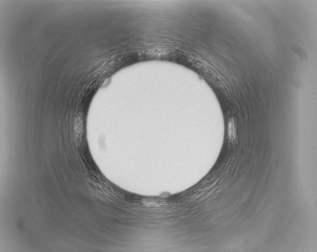 X0000115531299200912181518