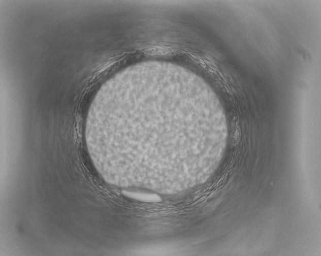 X0000115531301200912181518