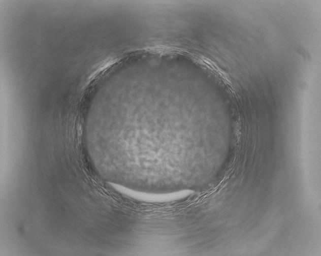 X0000115531302200912181519