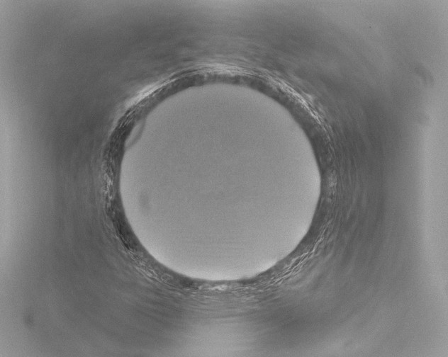 X0000115531303200912181519