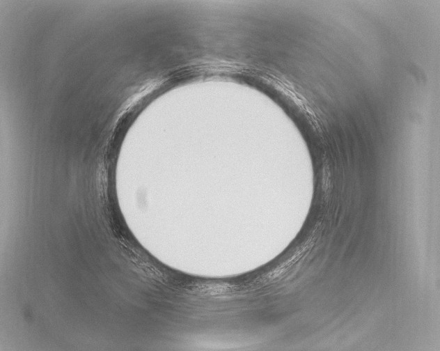 X0000115531309200912181519