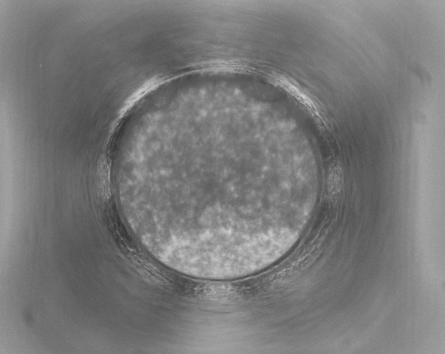 X0000115531310200912181519