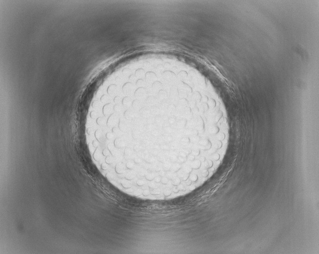 X0000115531311200912181519