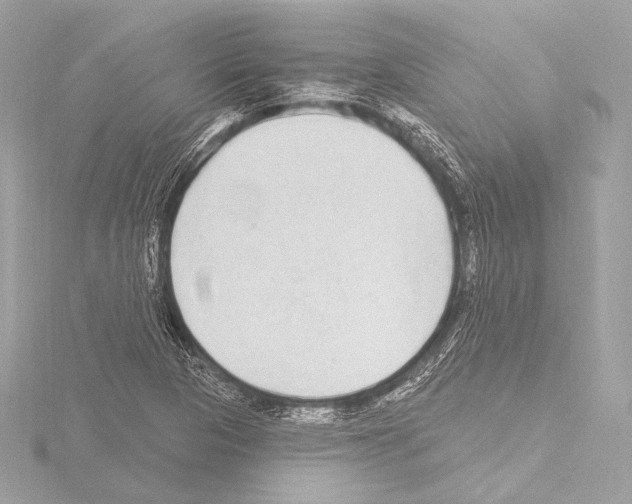 X0000115531313200912181519