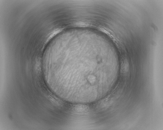 X0000115531314200912181519