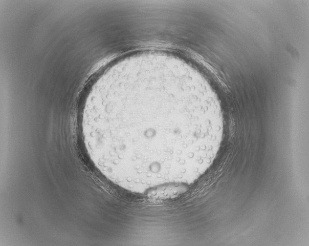 X0000115531315200912181519