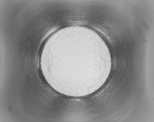 X0000115531317200912181519