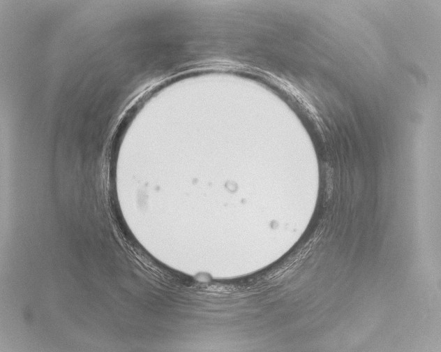 X0000115531318200912181519