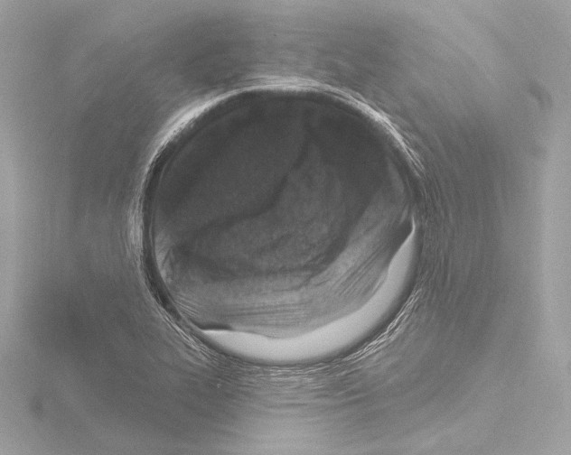 X0000115531319200912181519