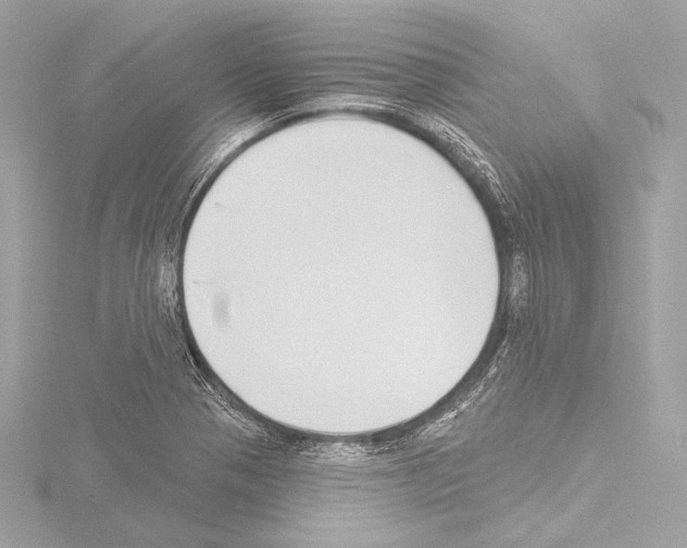 X0000115531321200912181519