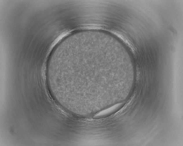 X0000115531325200912181519