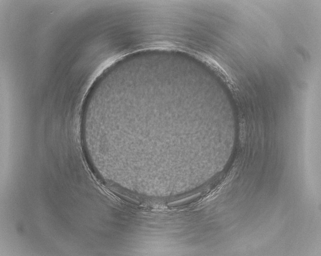 X0000115531326200912181519