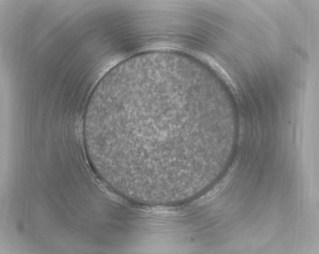 X0000115531329200912181519