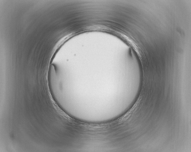 X0000115531330200912181519