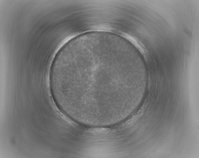 X0000115531331200912181519