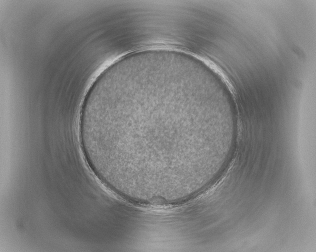 X0000115531333200912181519