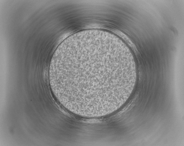 X0000115531337200912181519